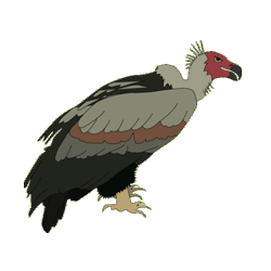 Gif animé vautour assis
